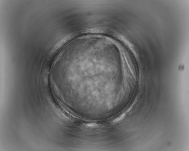 X0000091710153200709141127