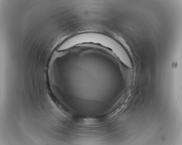 X0000091710154200709141127