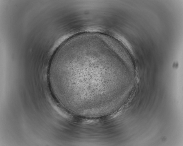 X0000091710155200709141127