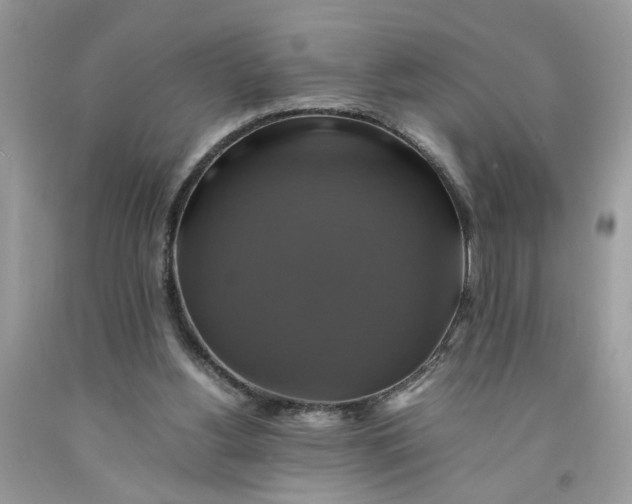 X0000091710156200709141127