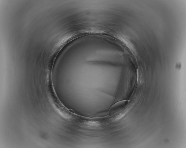 X0000091710157200709141127