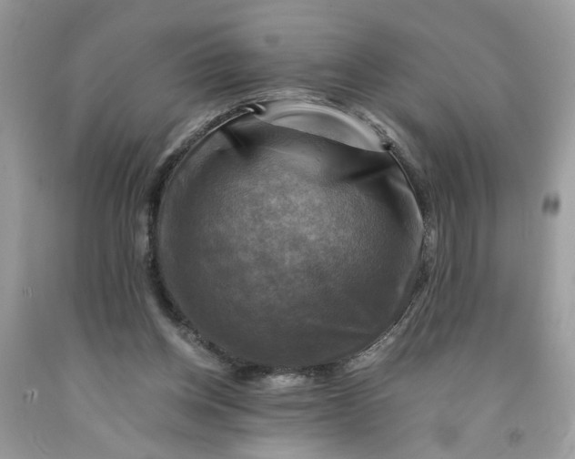 X0000091710158200709141127