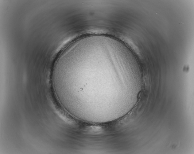 X0000091710159200709141127