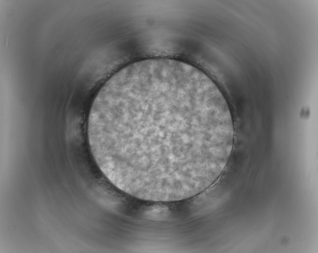 X0000091710162200709141127