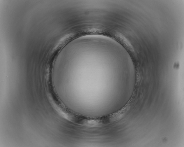 X0000091710163200709141127