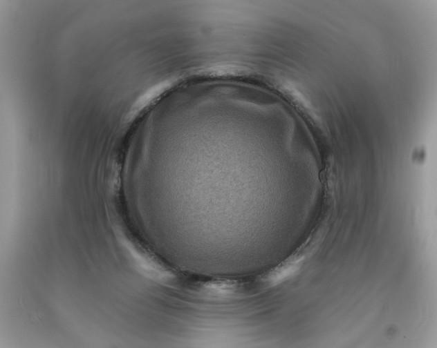 X0000091710164200709141127