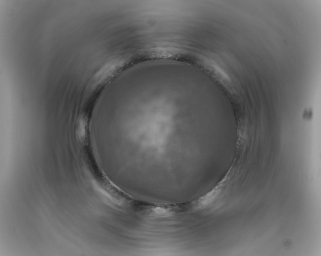 X0000091710166200709141127