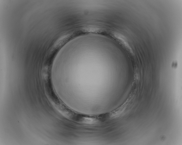 X0000091710167200709141127