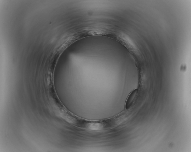 X0000091710169200709141127