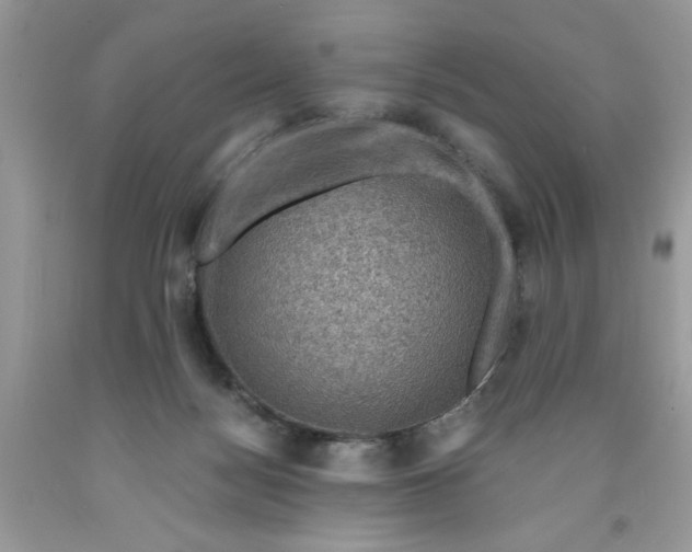 X0000091710172200709141127