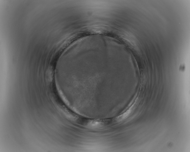 X0000091710174200709141127