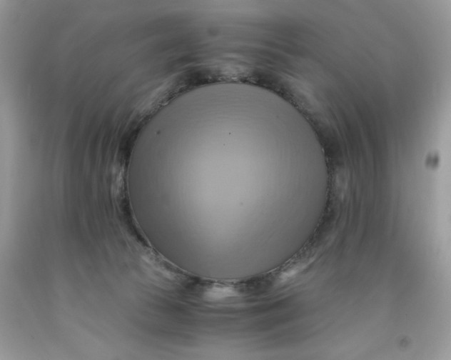 X0000091710177200709141127