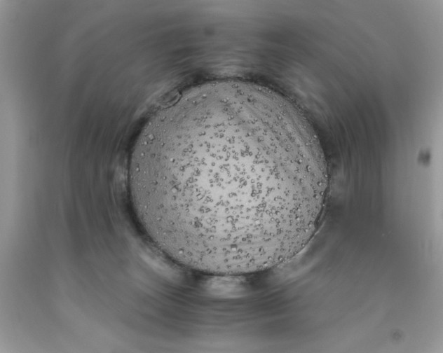 X0000091710179200709141127