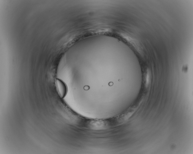 X0000091710181200709141127