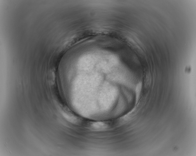 X0000091710183200709141128