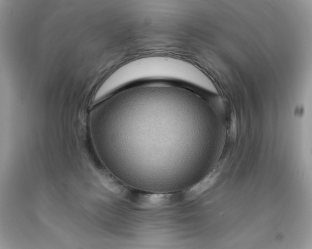 X0000091710184200709141128