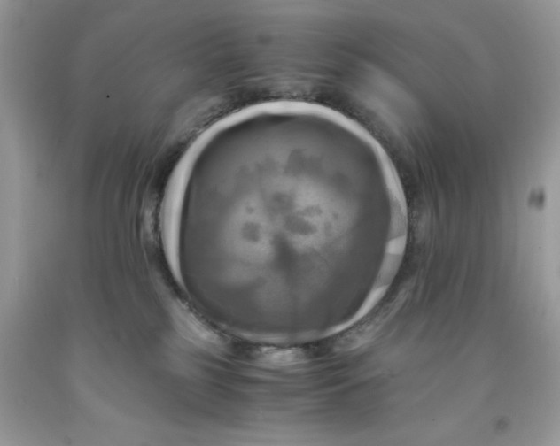 X0000091710185200709141128