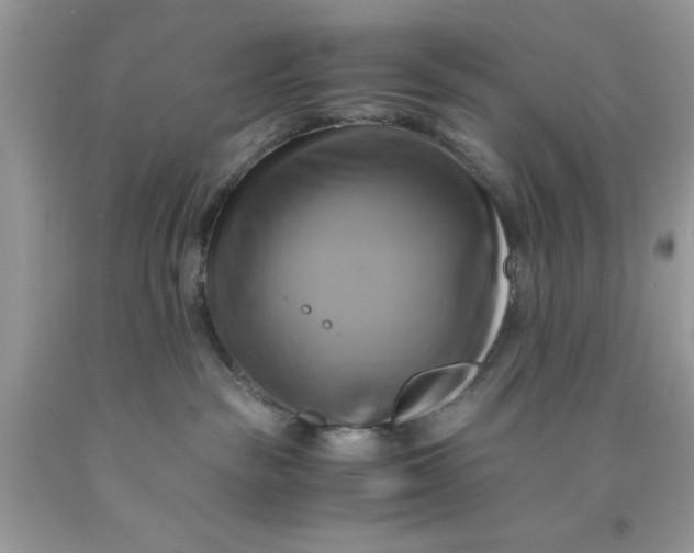 X0000091710189200709141128