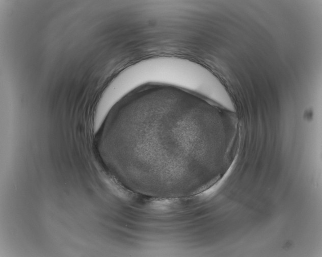 X0000091710190200709141128