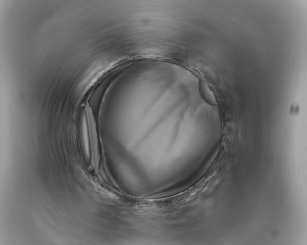 X0000091710194200709141127