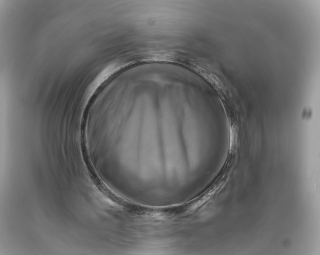 X0000091710195200709141127