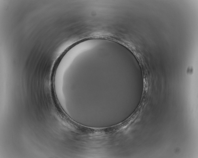 X0000091710196200709141127