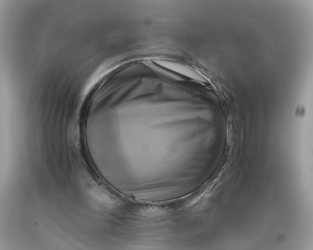 X0000091710198200709141127