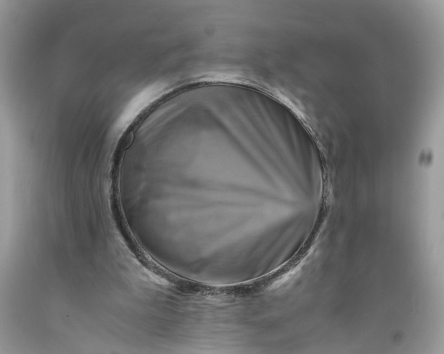 X0000091710199200709141127