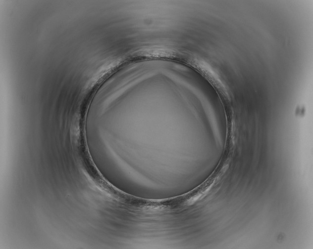 X0000091710202200709141127