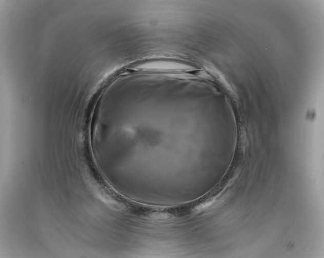 X0000091710203200709141127