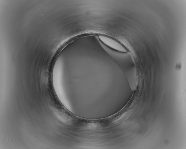 X0000091710204200709141127