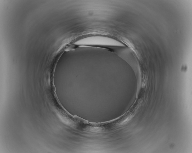 X0000091710205200709141127