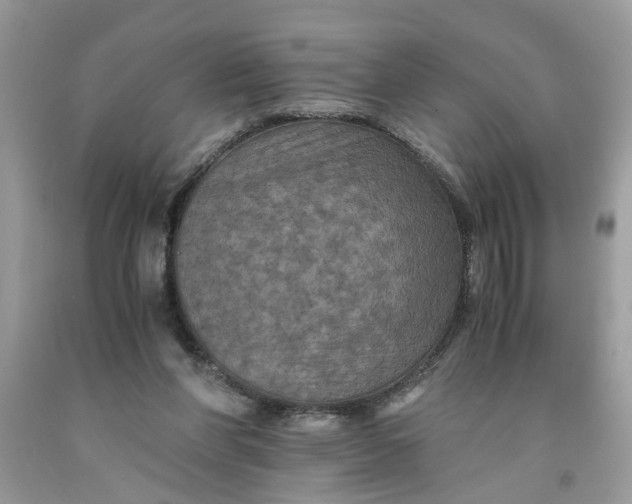 X0000091710206200709141127