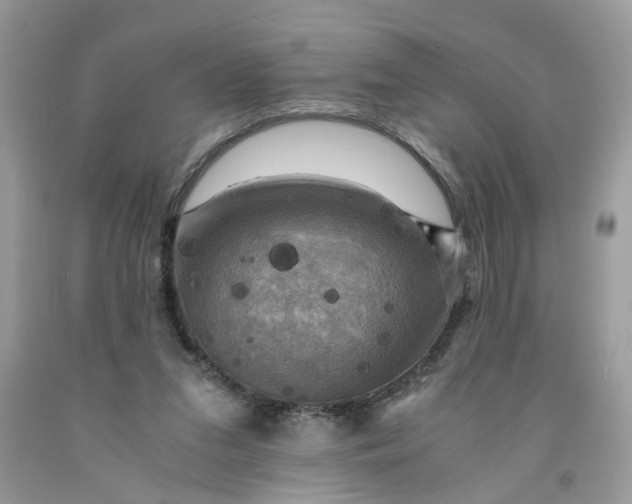 X0000091710207200709141127