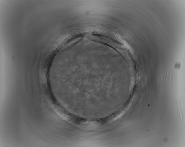 X0000091710209200709141127