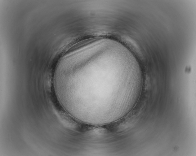 X0000091710210200709141127