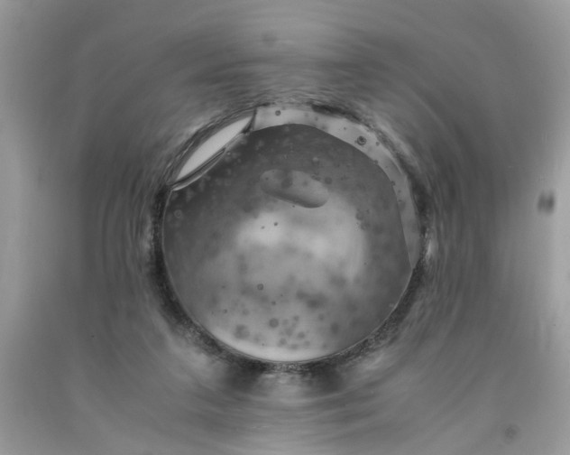 X0000091710211200709141127