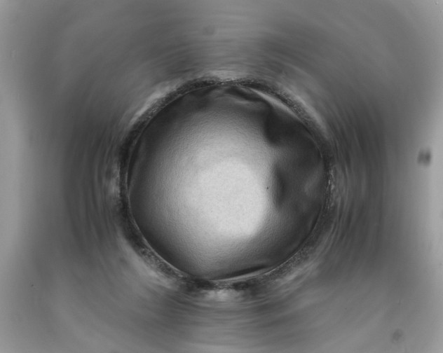 X0000091710212200709141127