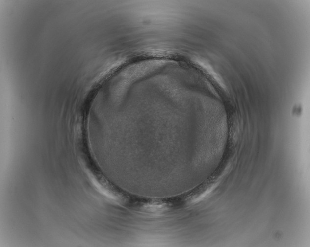 X0000091710213200709141127