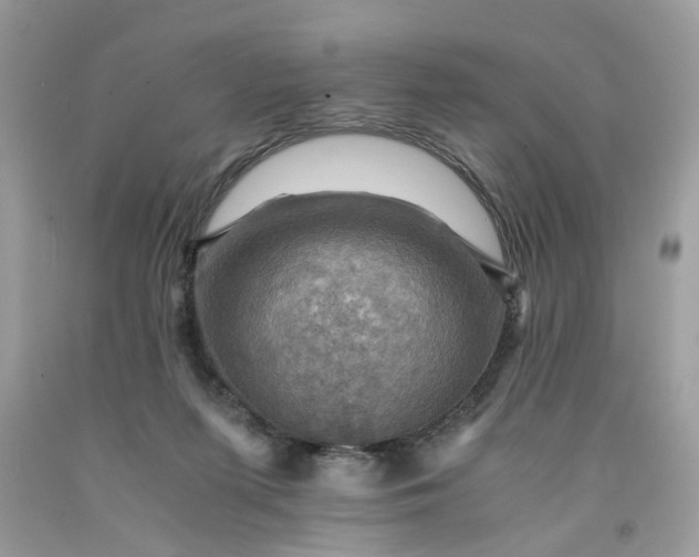 X0000091710215200709141127