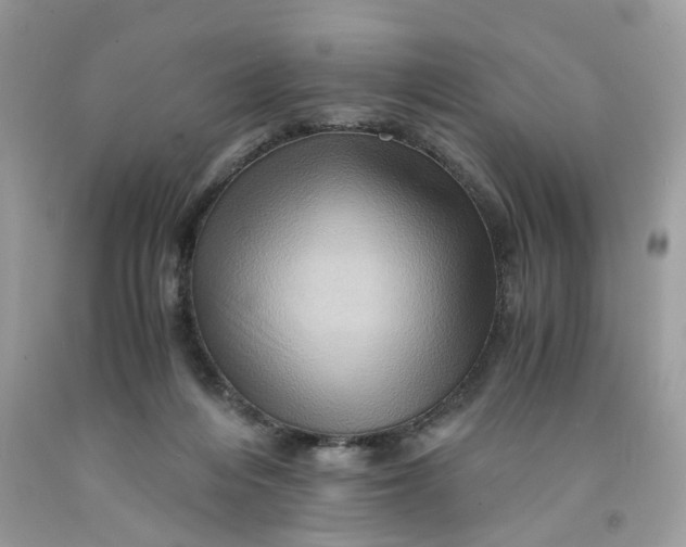 X0000091710216200709141127