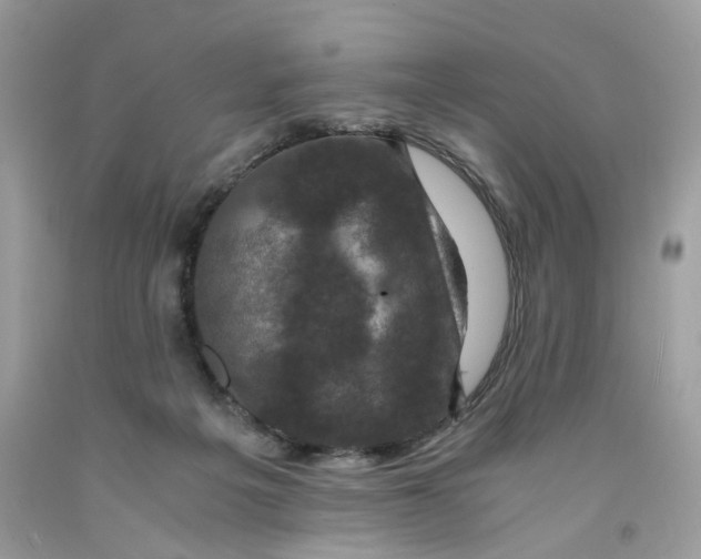 X0000091710217200709141127