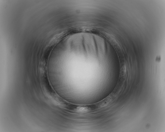 X0000091710218200709141127