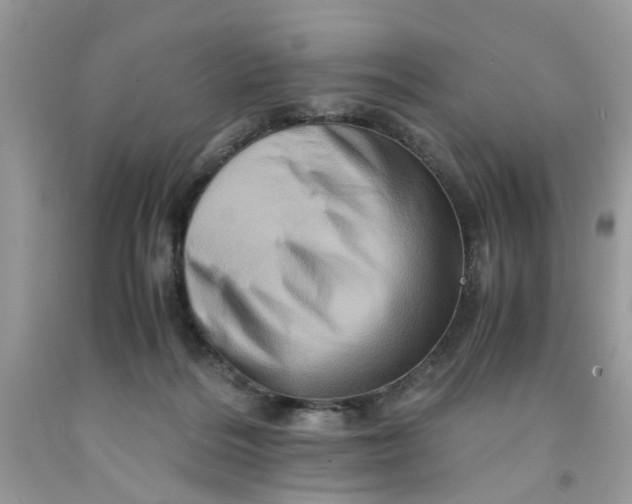 X0000091710220200709141127