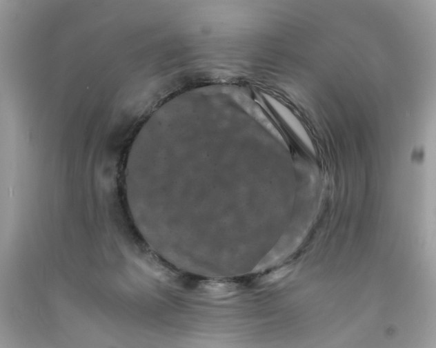 X0000091710221200709141127