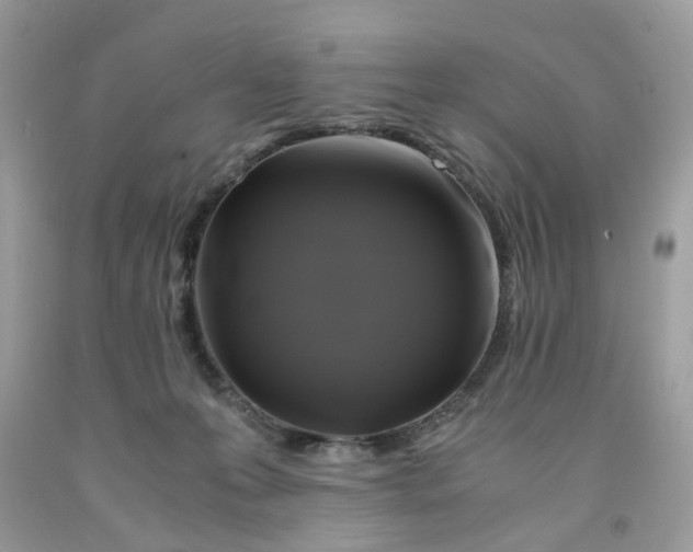 X0000091710223200709141127