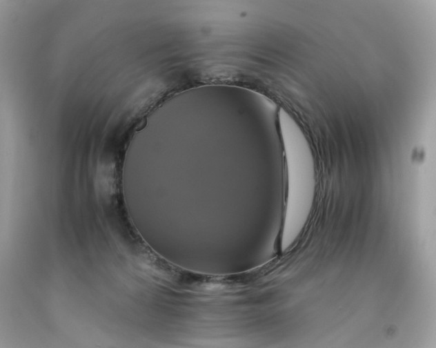 X0000091710224200709141127