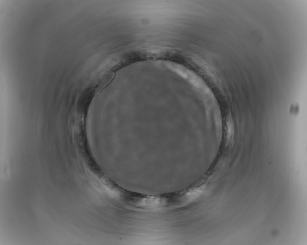 X0000091710225200709141127