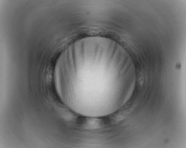 X0000091710226200709141127