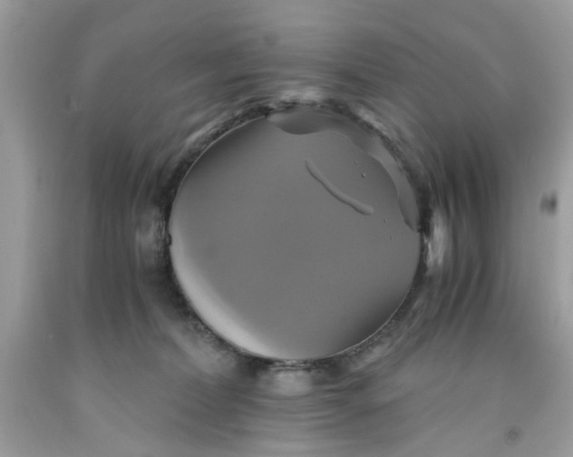 X0000091710228200709141127